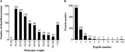 Proteomic Analysis of the Hepatopancreas of Chinese Mitten Crabs (Eriocheir sinensis) Fed With a Linoleic Acid or α-Linolenic Acid Diet
